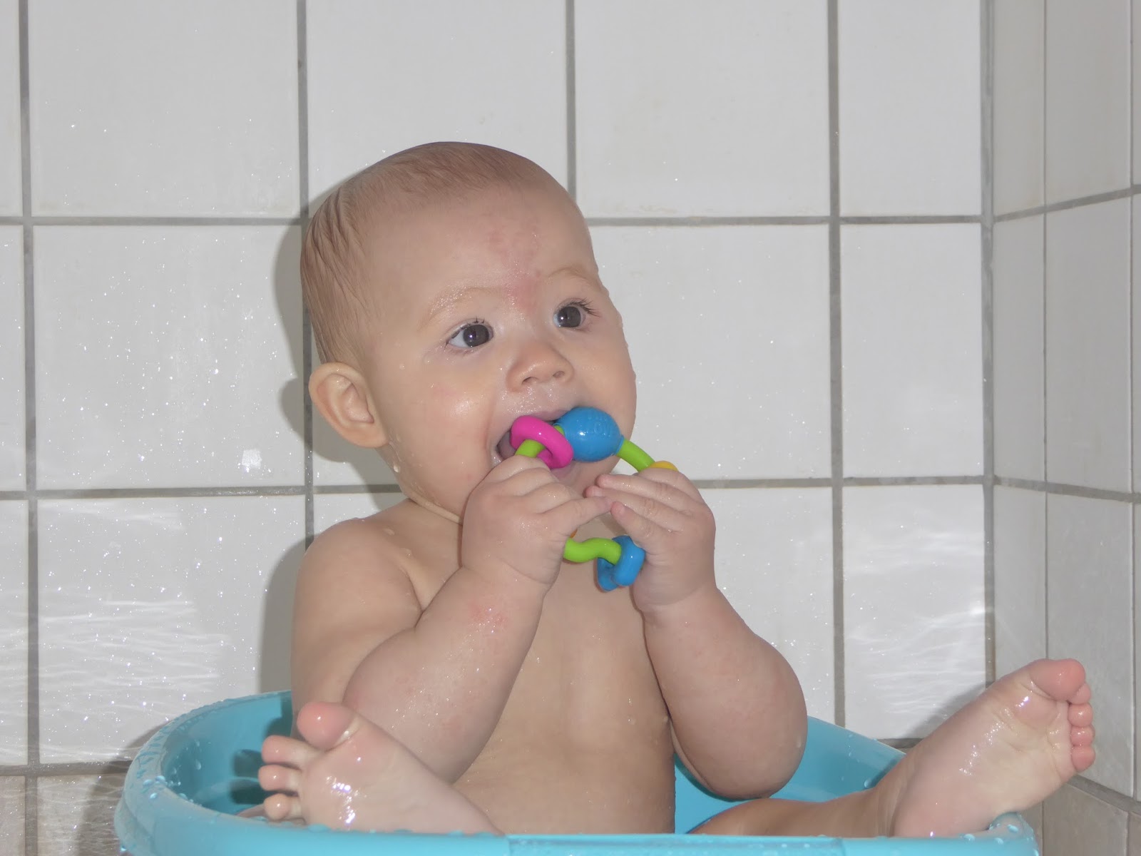 Family FECS C Summary Happy 9 Months Old