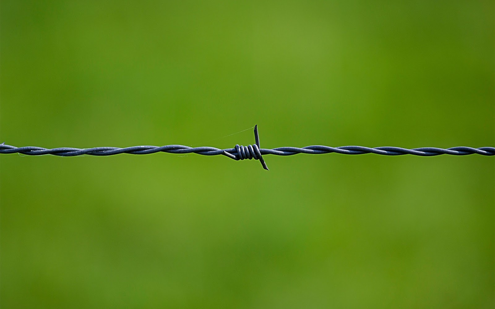 Barbed Wire Wallpaper Barbed Wire Wallpaper