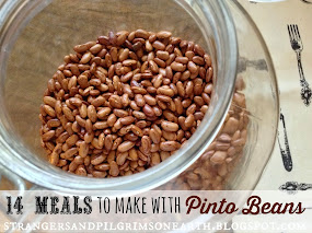 14+ Meals to Make with Pinto Beans