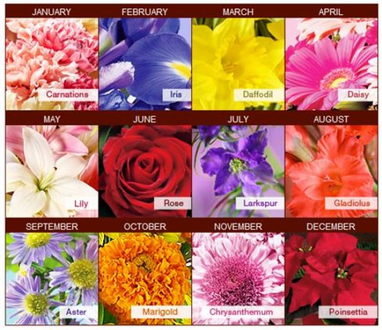 Different Types Of Flowers And Their Names Different Types Of Flowers And Their Names