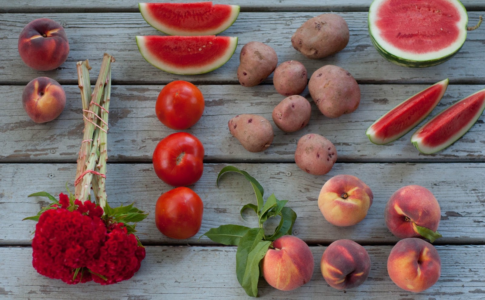 Robson's Farm August Vegetable Shoot