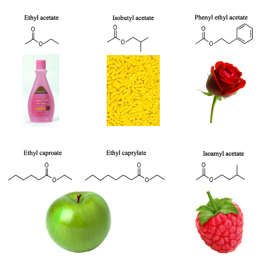 Biological Brewing February 2014
