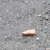 Dedo é encontrado em frente a hospital