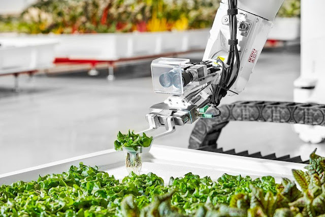 Полностью автоматизированная теплица Iron Ox: как она работает и какой даёт урожай?