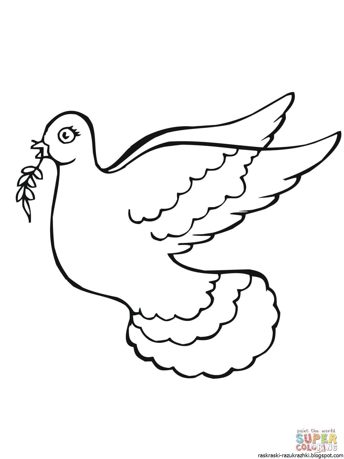 Голубь черно белый. Голубь раскраска для детей. Рисунки птиц цветные. Как раскрасить голубей. Голубь картинка для детей раскраска.