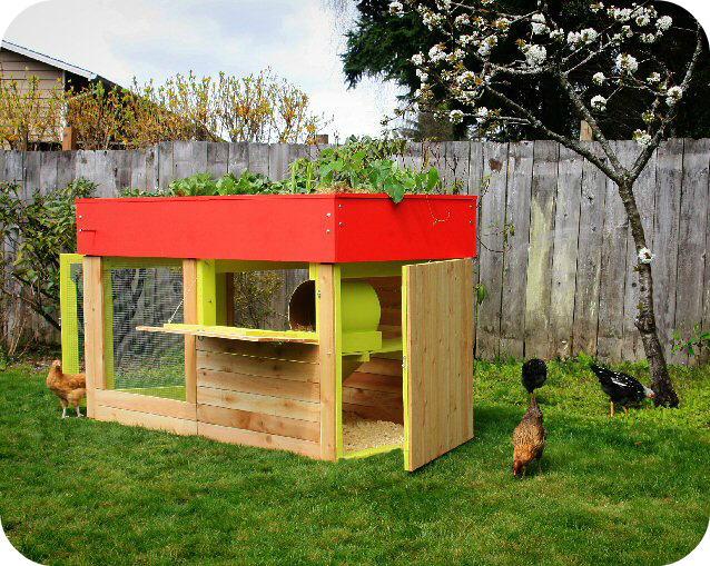 ... someone could replicate this for $300, maybe less (Chickens included