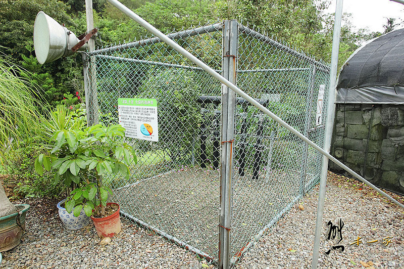 三峽私房景點櫻花林 樹木銀行|三峽碳中和樂園