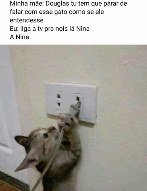 Memes Engraçados Memes Engraçados