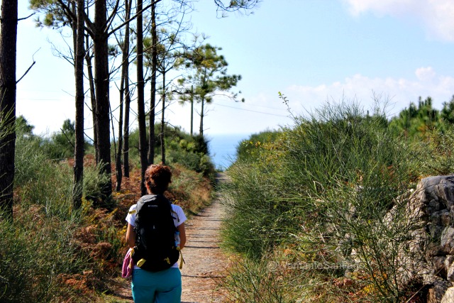 foto de las vistas del oceano