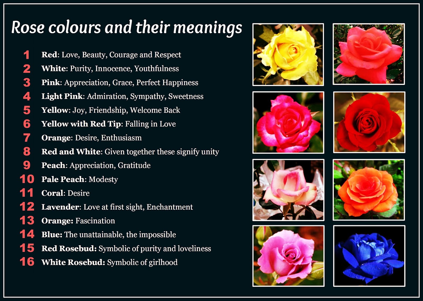 Rose Colour Chart