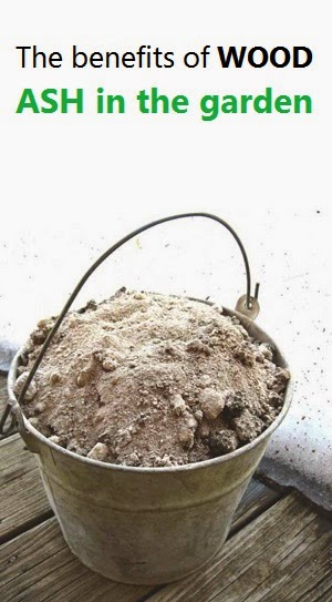 The benefits of WOOD ASH in the garden #Ideas - 101 Gardening
