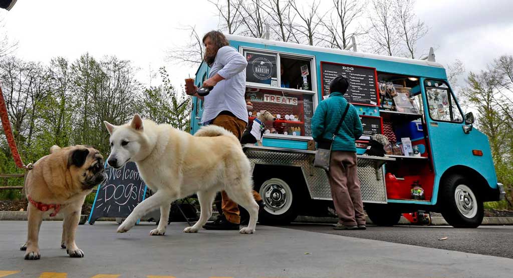 Nothing To Do With Arbroath Food truck caters exclusively for dogs