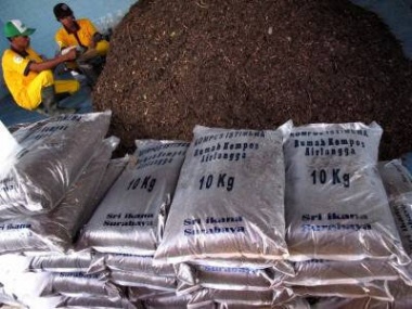 Cara Mengolah Sampah Daun Kering Menjadi Pupuk Kompos