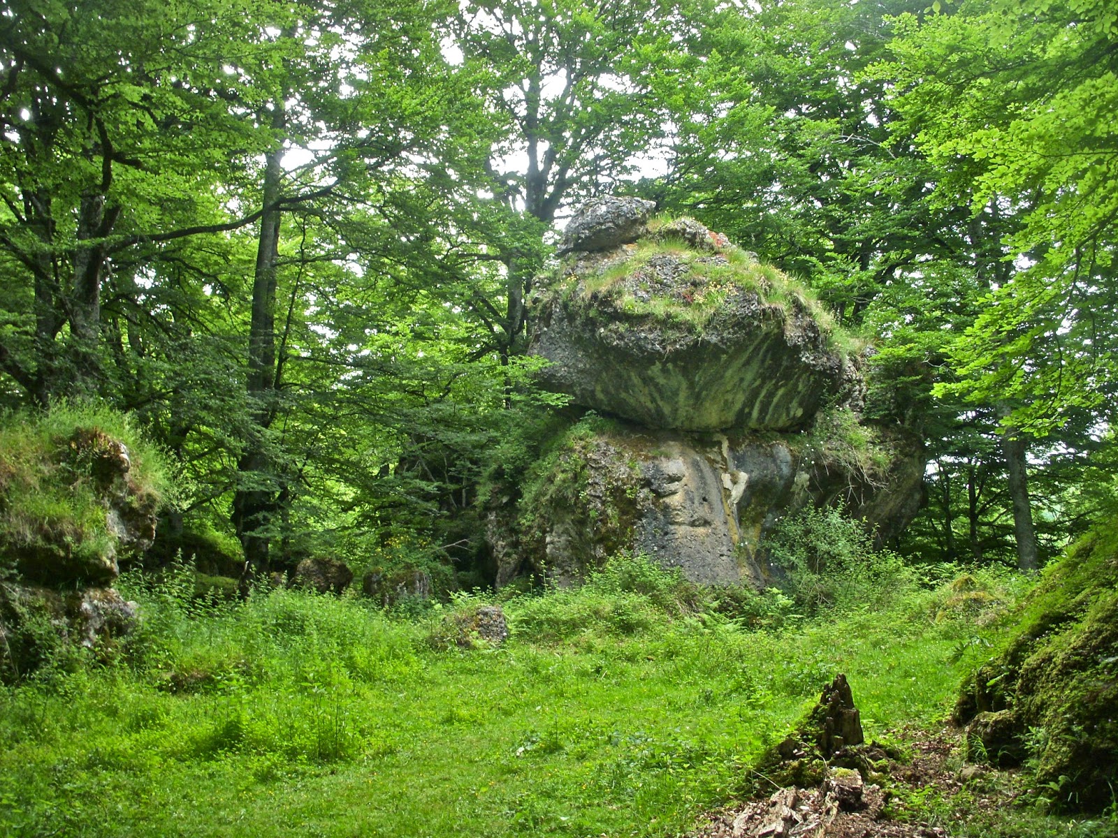 Paseos de Ikandu. Cueva de los Cristinos y bosque encantado de Artea