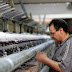 November 30 .. Polvara bidding for the sale of 50 thousand square meters in Alexandria