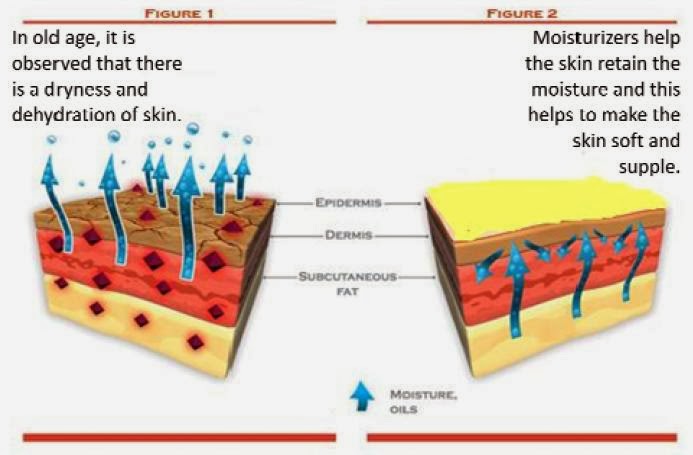 surface-clinical-does-drinking-extra-water-help-skin