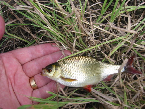 HULLO!!...Can you hear me now?....I'M ON THE BUS!!: January 2012