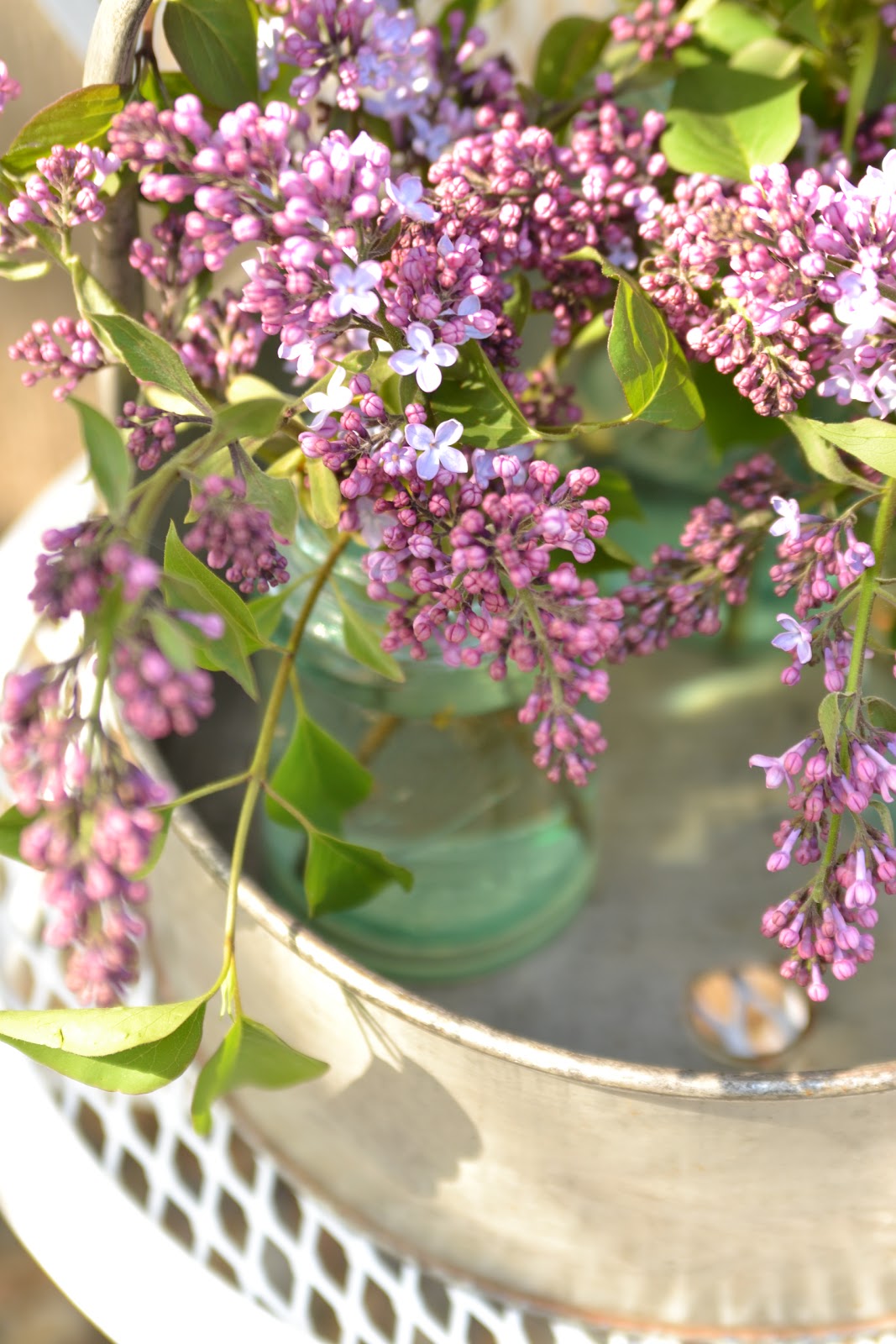 Faded Charm: ~Heavenly Scent of Lilacs~