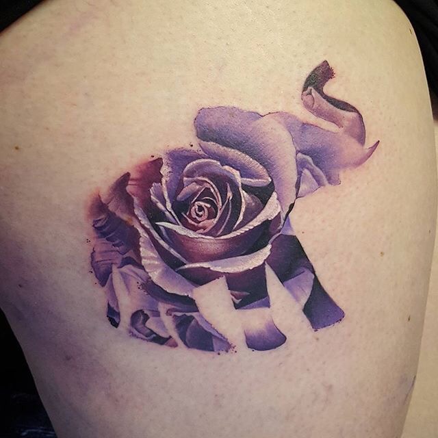 Tatuagens femininas de elefante Tatuagens femininas de elefante