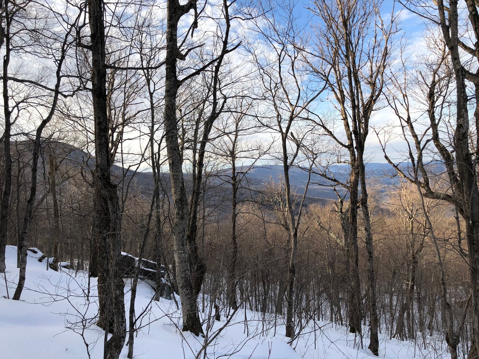 Hiking Graham and Doubletop Mountains Snowshoeing Bushwhack, Catskill