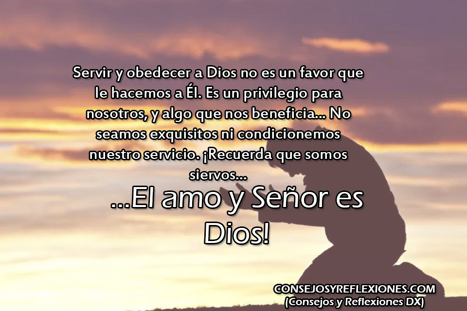 Ver las imágenes de origen