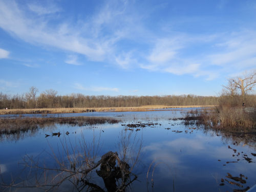 Reed's Lake