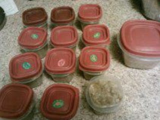 Daisys Dog Food Daisys Dog Food