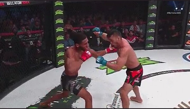 Bellator 205 Results A.J. McKee destroys John Macapa With One Punch