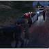 PoliceMod 2 v2.0.8 GTA5