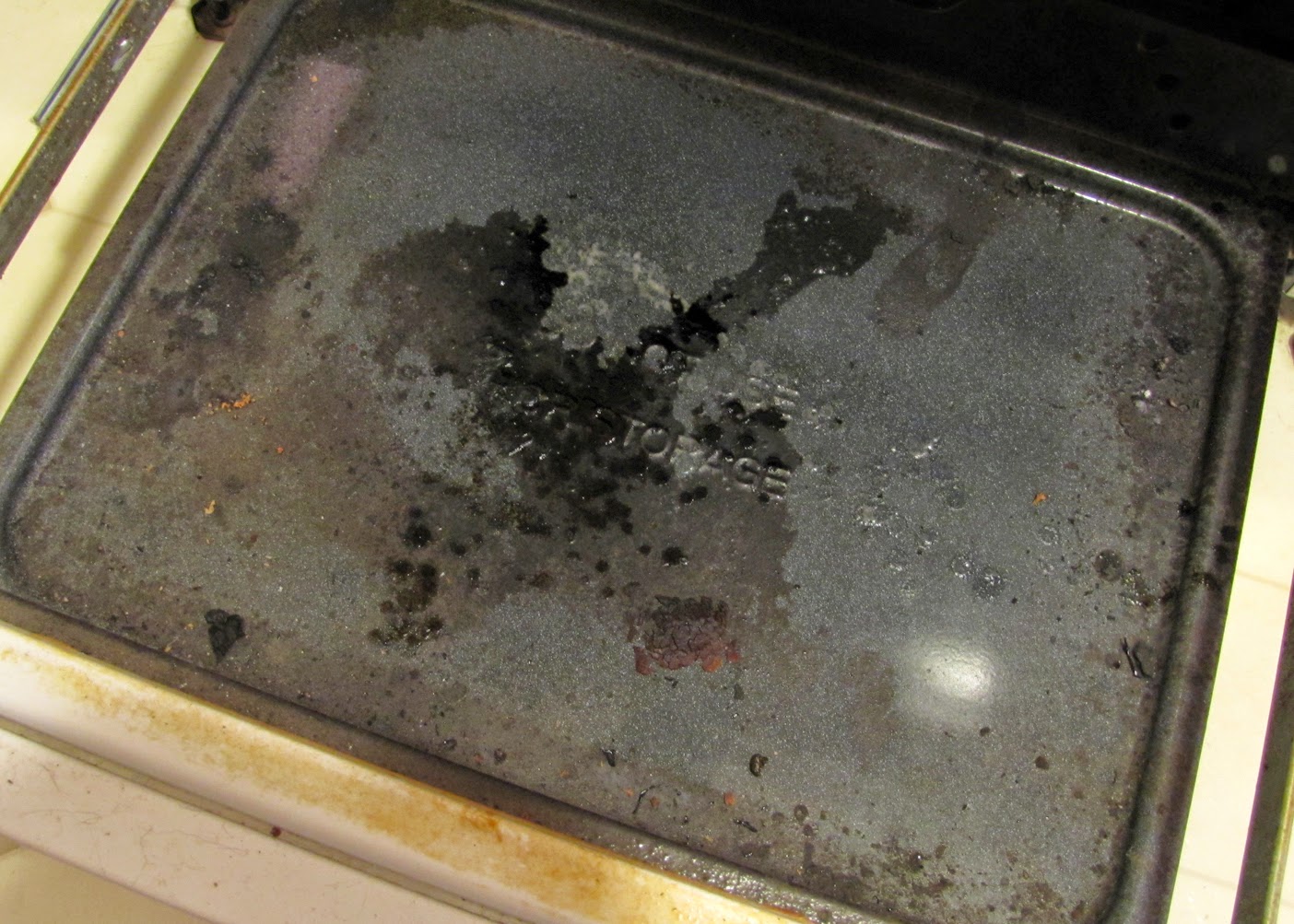 Smells Like Food in Here Cleaning the Oven and Broiler