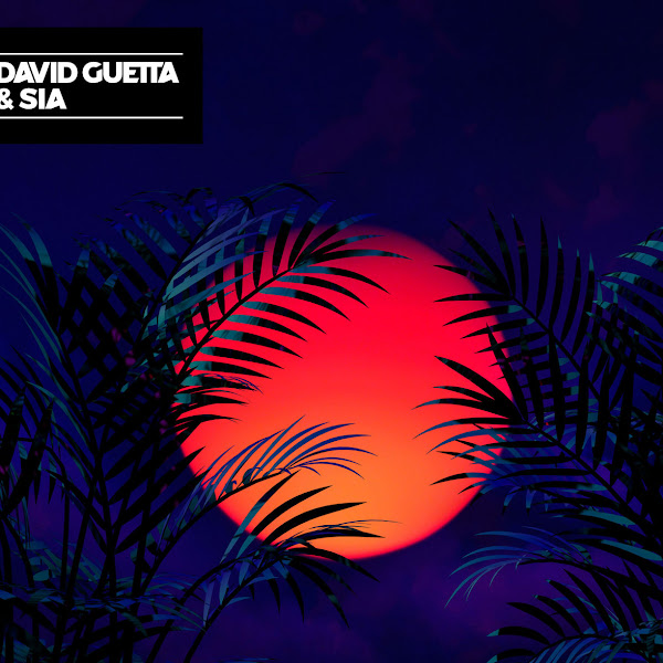David Guetta & Sia – Flames – Single [iTunes Plus AAC M4A]