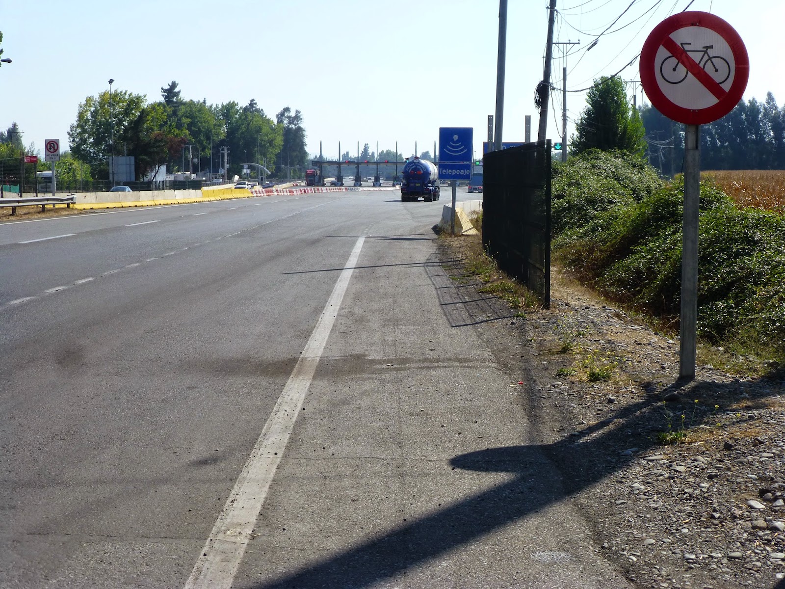 hähnchenknochen_hund — Mein Leben mit Hund