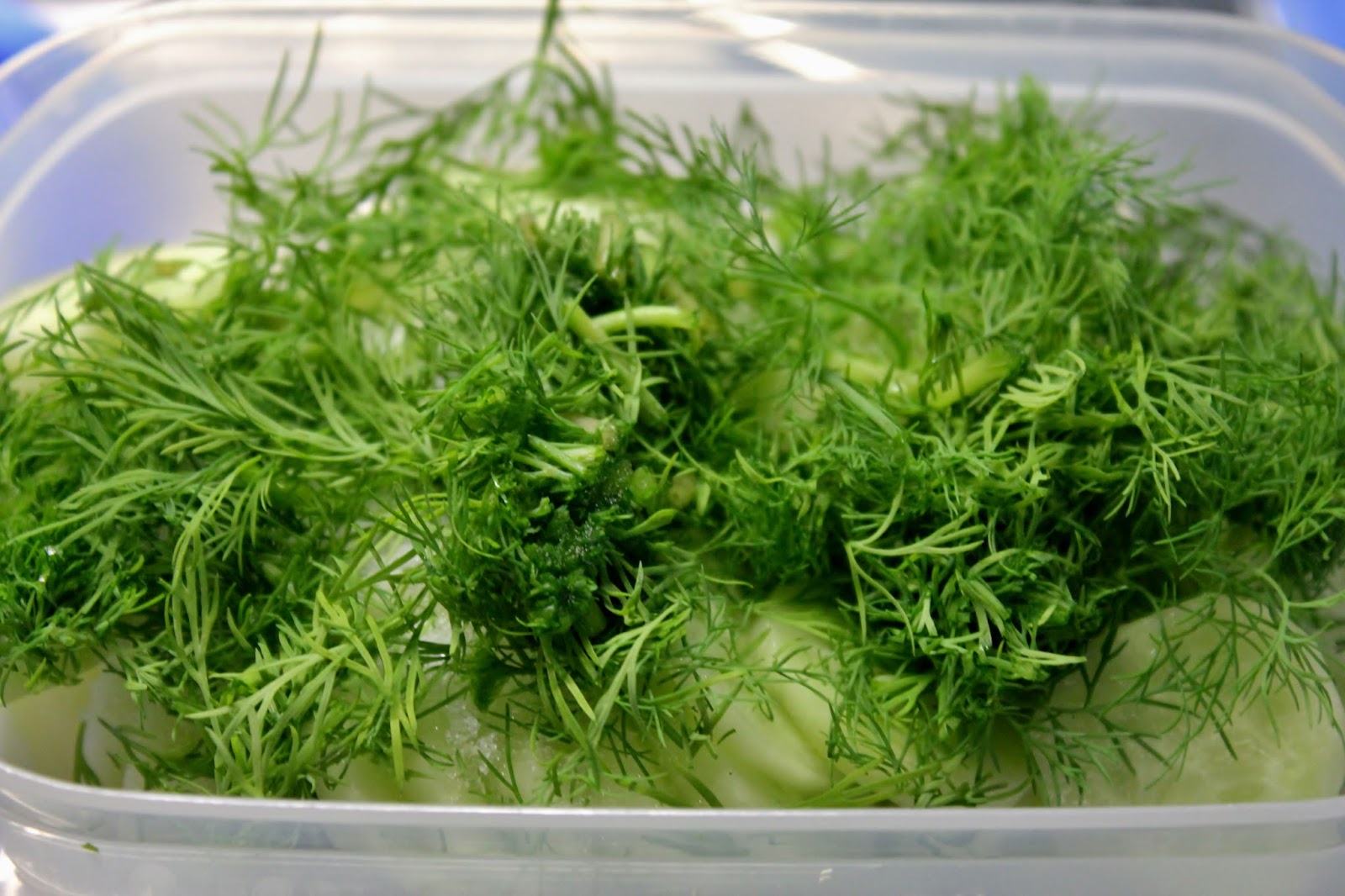 Huvilaelämää ja mökkiruokaa Suvun paras resepti Paistetut tuoreet