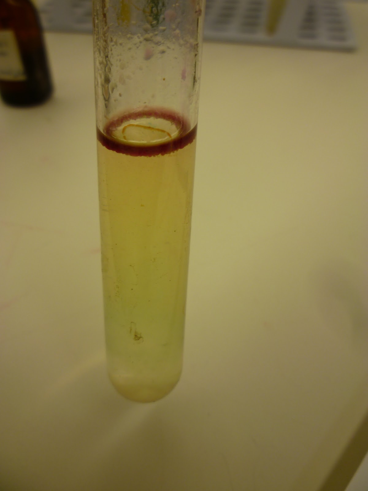 Medical Microbiology: November 8-10