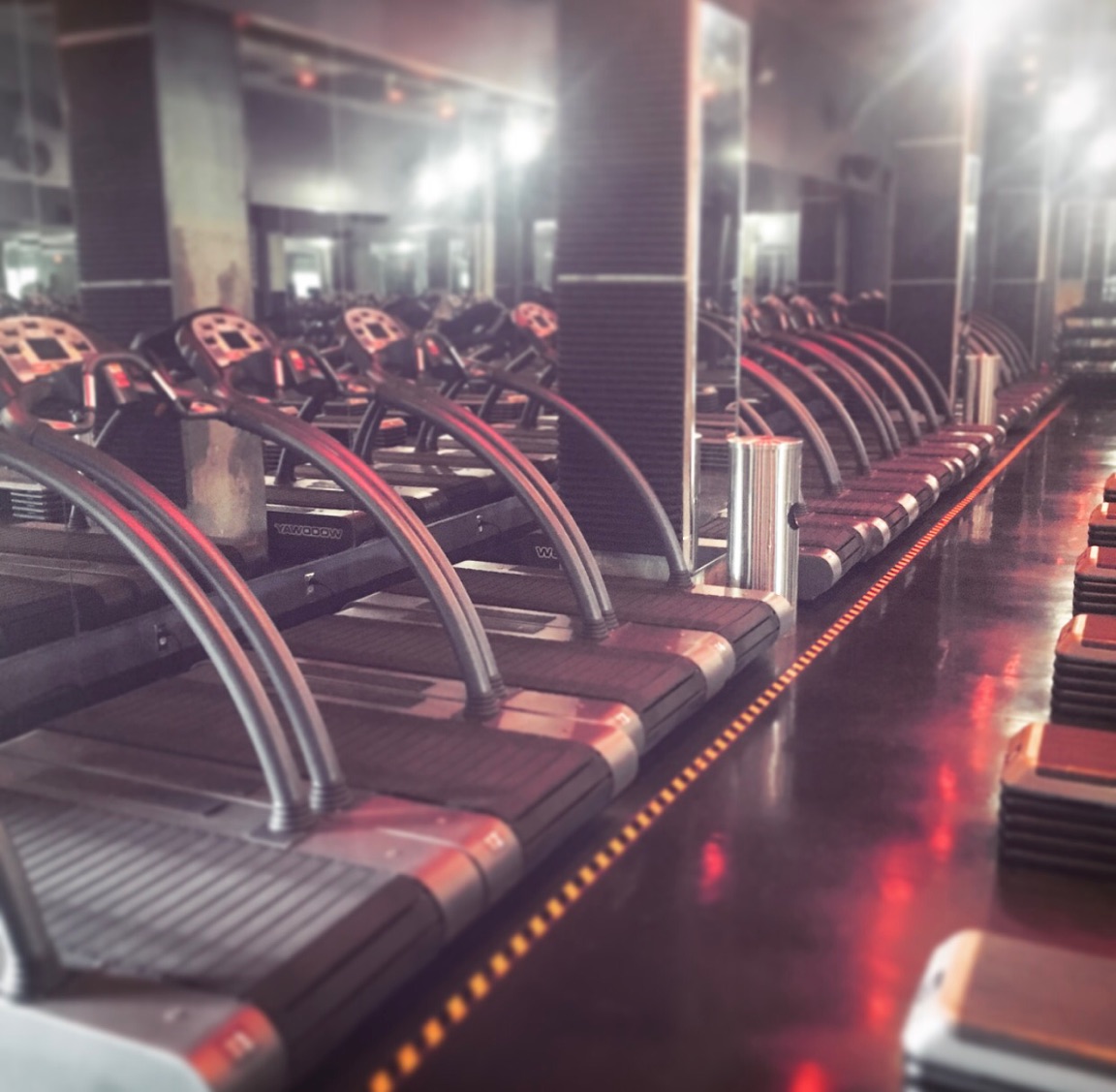 Nashville Home + Style Barry's Bootcamp Brings the Heat