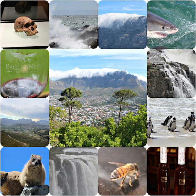 Pictures / South Africa Tour / https://winedineandplay.blogspot.com/p/pictures_6.html South Africa tour on Wine Dine And Play from waterfalls to great white sharks