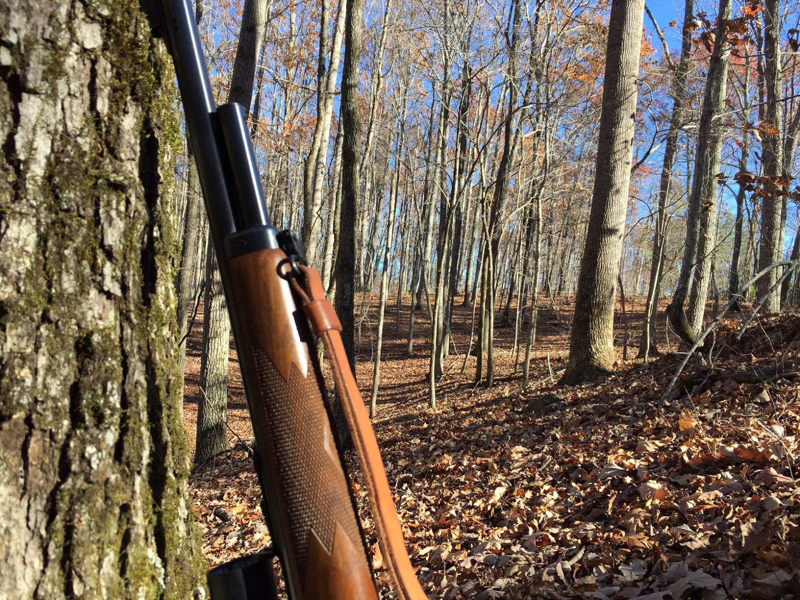 1895Gunner WMA Hunting in NW 2016