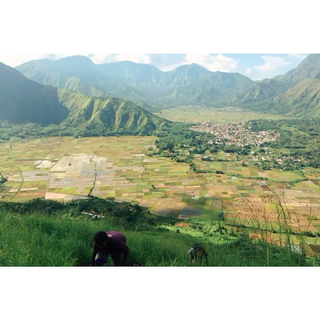 foto pemandangan sawah desa sembalun dari bukit pergasingan