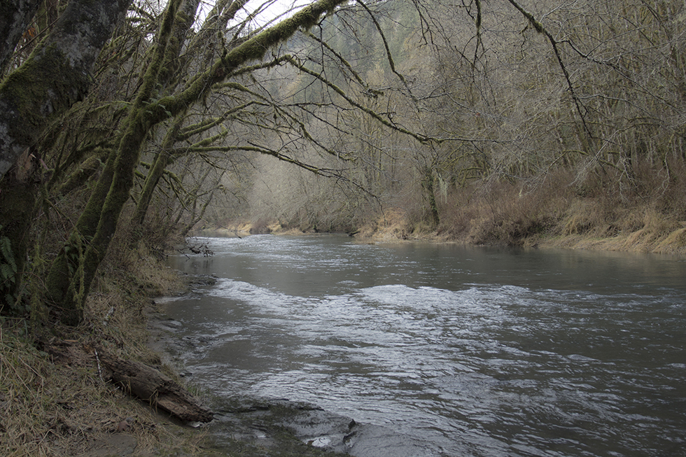 Photographing Oregon Alsea River