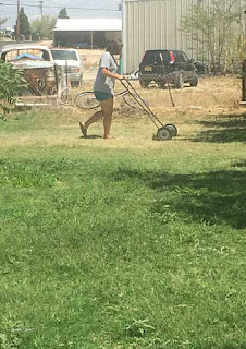 teenager helping with lawn mowing Picture of kid helping with chores in New Mexico