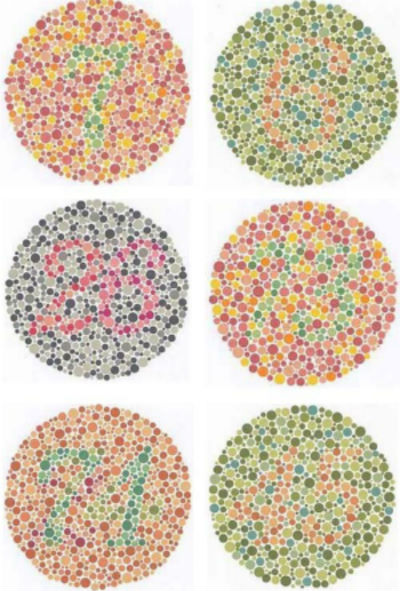 tes buta warna ishihara 38 plate tes buta warna ishihara 38 plate