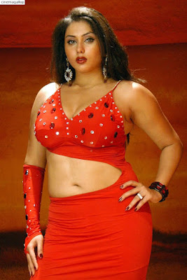 Namitha Sexy Navel Pictures-Hot Collection Namitha Sexy Navel Pictures-Hot Collection