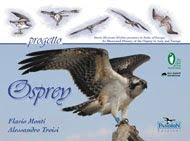 Progetto Osprey