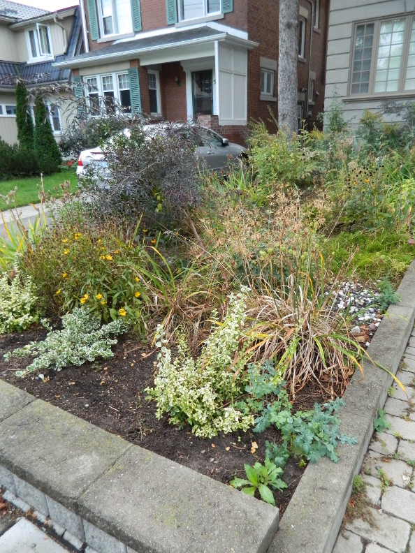 Rotary Botanical Gardens Hort Blog Panicled Hydrangeas For A