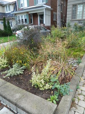 Fall Clean up Toronto Bedford Park Front Garden before by Paul Jung Gardening Services Fall Clean up Toronto Bedford Park Front Garden before by Paul Jung Gardening Services