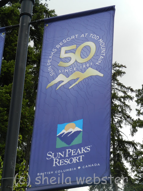 The banners hang on posts above the street to celebrate the 50th anniversary of the opening of Tod Mountain skiing.