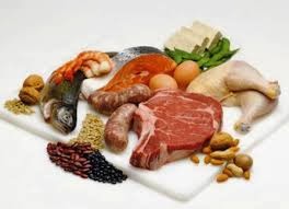 Makanan Sumber Protein Tinggi