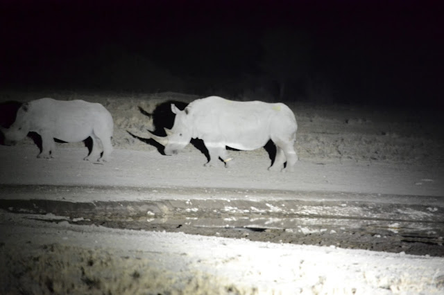 Día 15: De Makgadikgadi Pan a Khama Rhino Sanctuary. - Botswana y Cataratas Victoria. Viaje por libre de 19 dias (15)