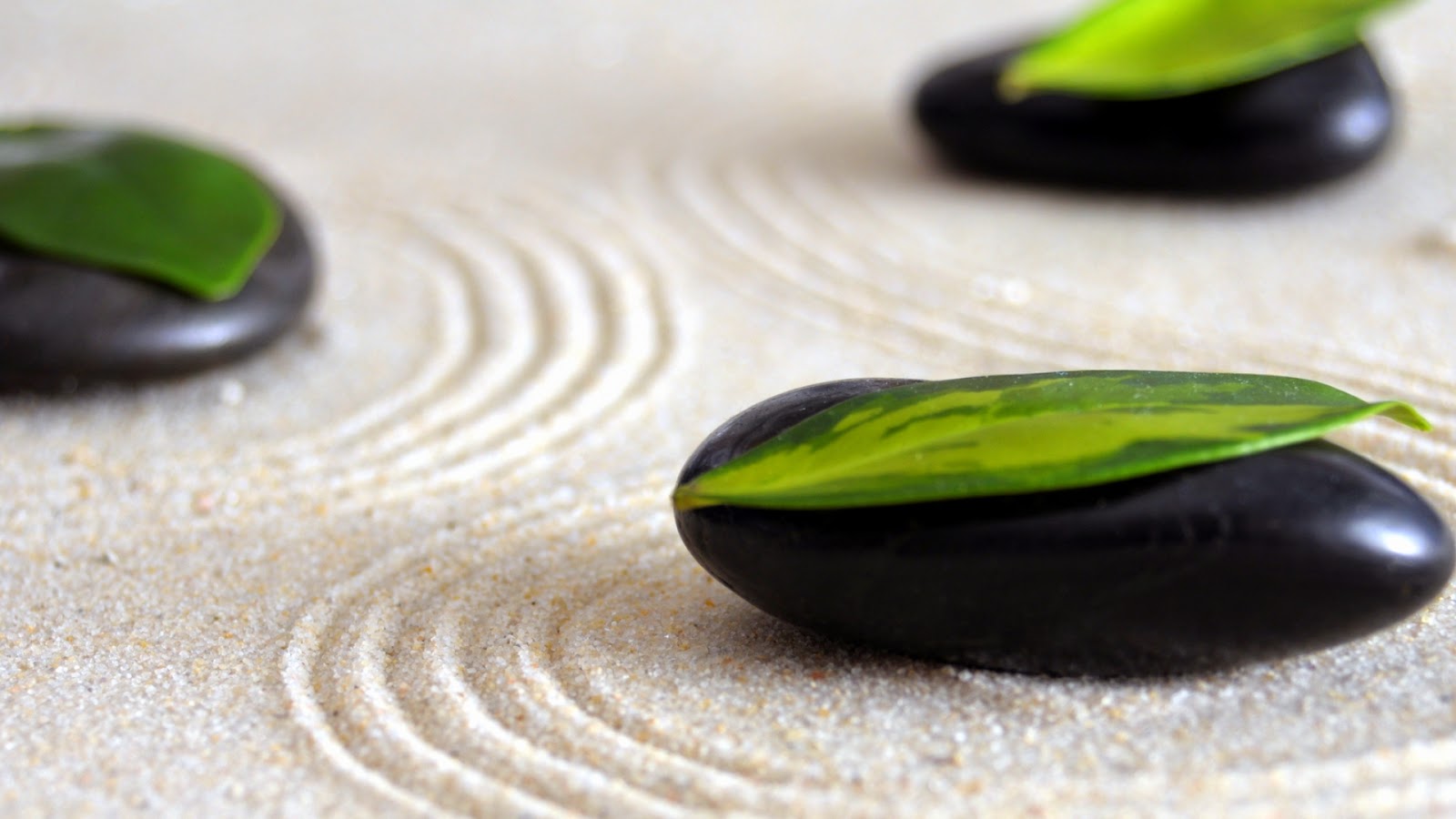 Decoración japonesa: Decoración para un jardín de estilo Zen