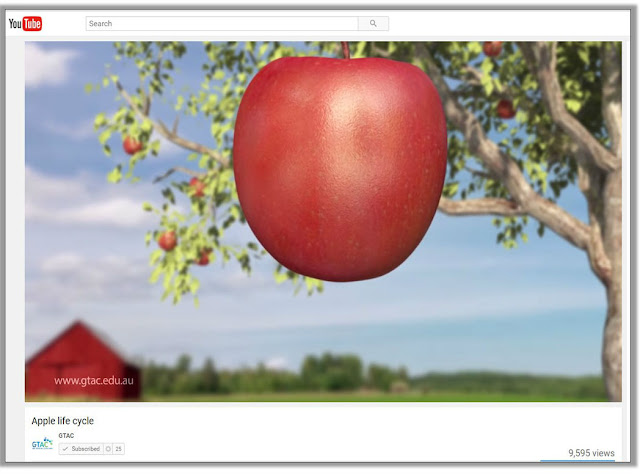 Beautiful, fast-motion video of the apple life cycle by GTAC on YouTube